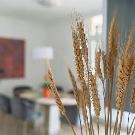Residenza Dell Agrifoglio דירה